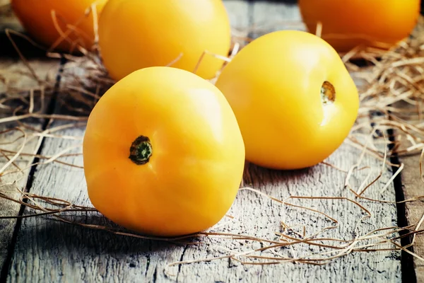 Tomates orgânicos amarelos e laranja — Fotografia de Stock