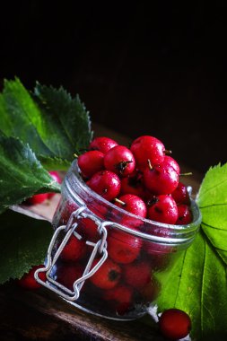 Olgun alıç yaprakları ile