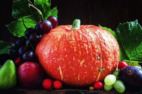 Erntedank Stillleben, Herbsternte Obst und Gemüse — Stockfoto