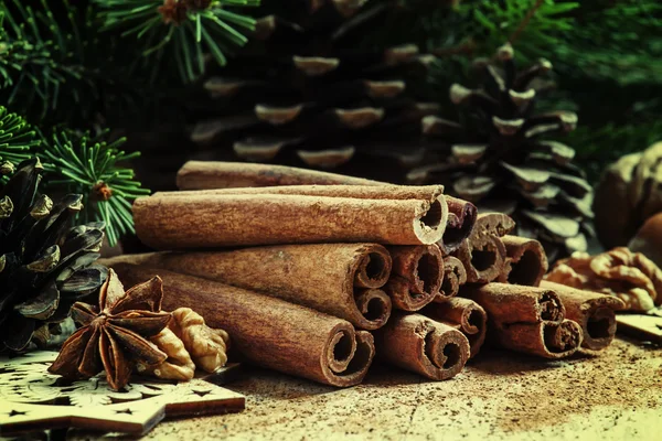 Kaneelstokjes en steranijs in de decoratie van Kerstmis — Stockfoto