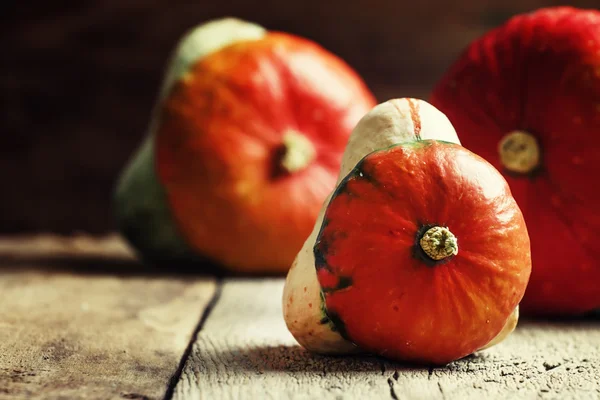 Citrouilles décoratives, fond bois vintage — Photo