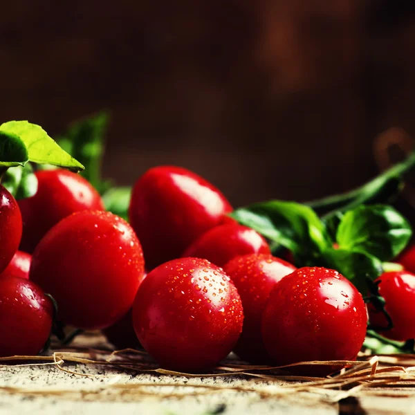 Kirschtomaten am Weinstock und grünes Basilikum. — Stockfoto