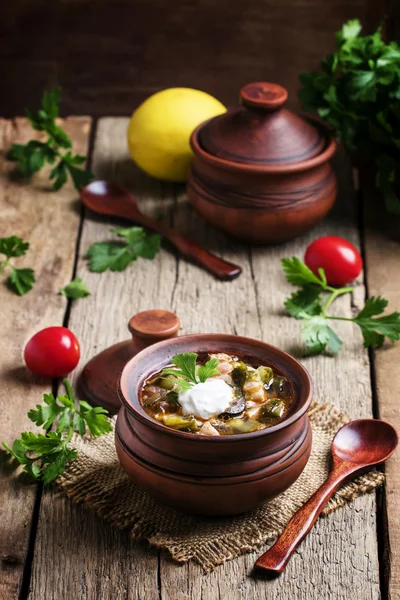 Soljanka - Suppe aus verschiedenen Fleischsorten — Stockfoto