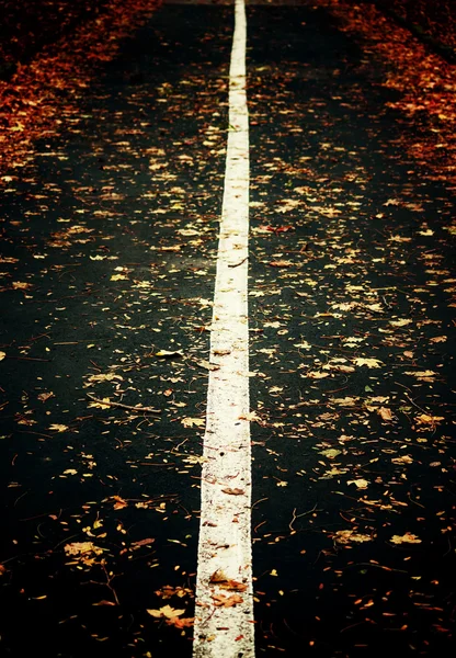 Route dans la forêt d'automne — Photo