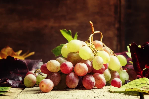 秋のピンクのワイン葡萄 — ストック写真