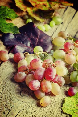 Sonbahar Pembe şarap üzüm