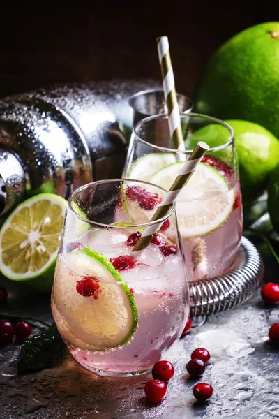 Limonada com limão, cranberries, xarope de açúcar e gelo — Fotografia de Stock