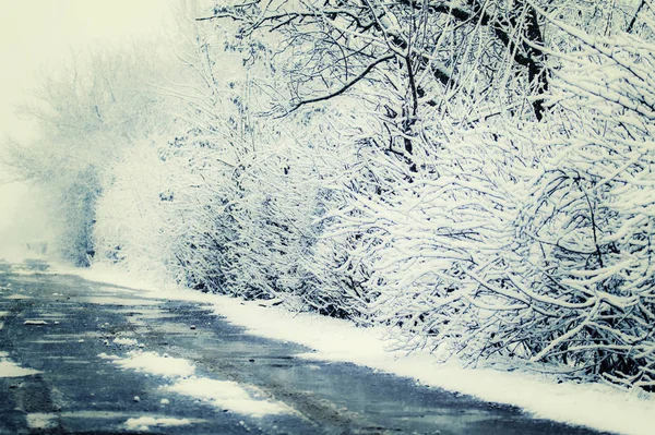Paysage hivernal, première neige sur les branches des arbres . — Photo
