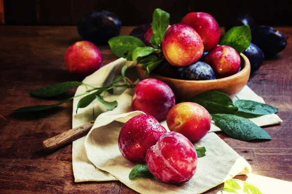 Ciruelas rojas con hojas — Foto de Stock