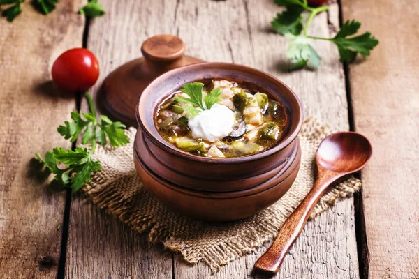 Soppa med kött och korvar med grönsaker och Oliver — Stockfoto