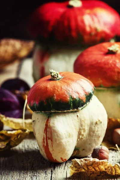 Kürbispilze, Nüsse, trockene Herbstblätter — Stockfoto