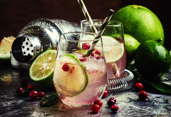 Cranberry lemonade with lime and ice — Stock Photo, Image