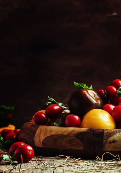 Różne kolorowe pomidory — Zdjęcie stockowe