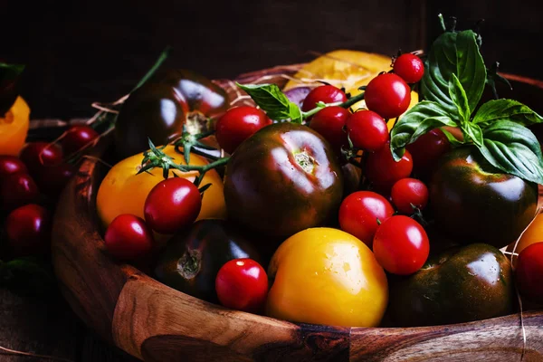Verschillende veelkleurige tomaten — Stockfoto