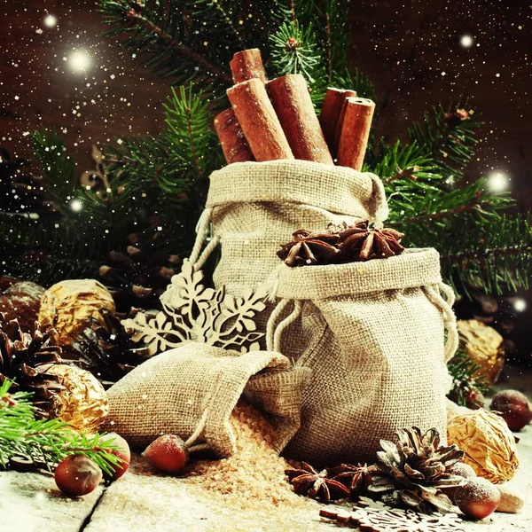Weihnachtsstimmung: Gewürze, Bonbons, Zapfen und Nüsse — Stockfoto