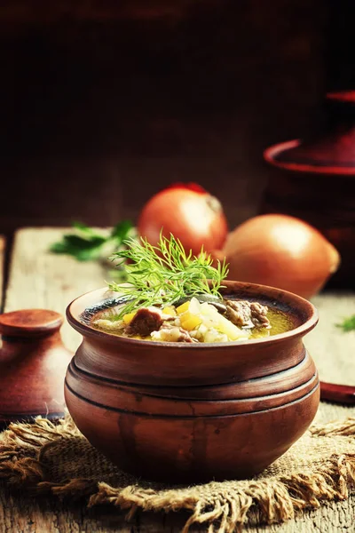 Sopa com carne bovina, cogumelos da floresta e cevada de pérola — Fotografia de Stock