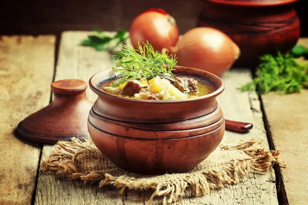 Sopa com carne bovina, cogumelos da floresta e cevada de pérola — Fotografia de Stock