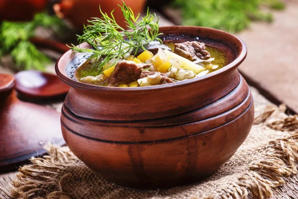 Soup with beef, forest mushrooms and pearl barley — Stock Image Soup with beef, forest mushrooms and pearl barley Royalty Free Stock Photos