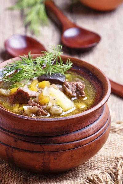 Soup with beef, forest mushrooms and pearl barley — Stock Image Soup with beef, forest mushrooms and pearl barley Stock Picture