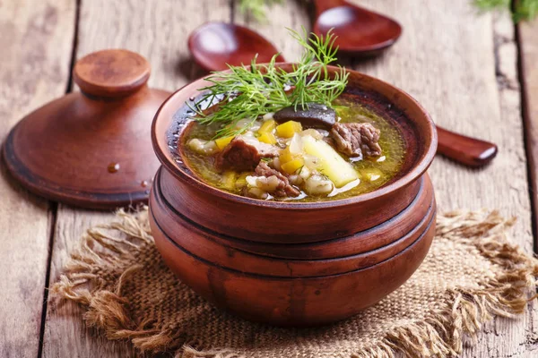 Soup with beef, forest mushrooms and pearl barley — Stock Image Soup with beef, forest mushrooms and pearl barley Royalty Free Stock Images