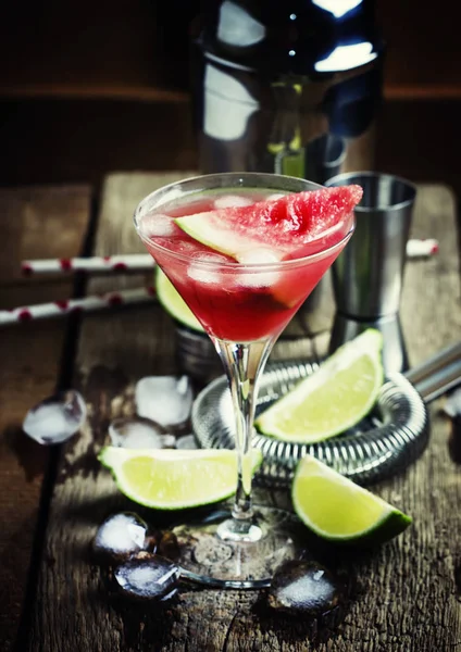 Alcoholic cocktail with watermelon, vodka, ginger ale and ice — Stock Photo, Image