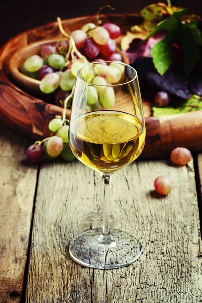 Vino blanco en copa con uvas de otoño — Foto de Stock