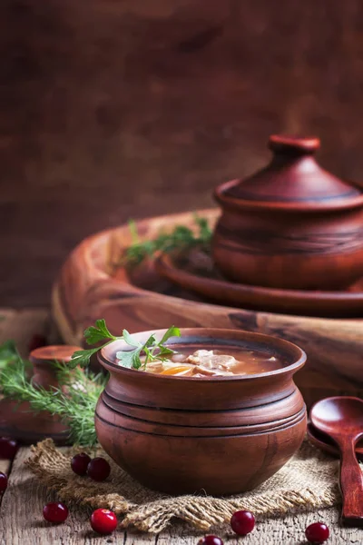 Soup made of sauerkraut — Stock Image Soup made of sauerkraut Stock Picture