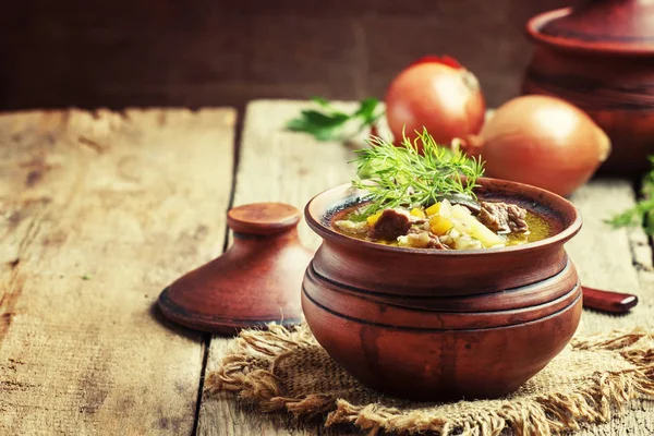 Sopa con champiñones, ternera y cebada —  Fotos de Stock
