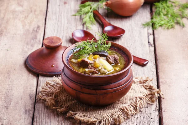 Suppe mit Pilzen, Rindfleisch und Gerste — Stockfoto