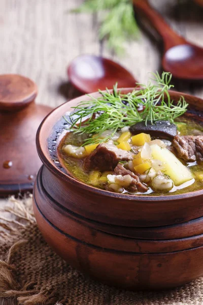 Soup with mushrooms, beef and barley — Stock Image Soup with mushrooms, beef and barley Stock Image