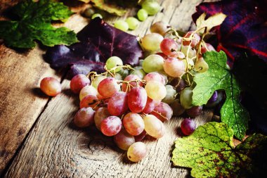 Sonbahar üzüm, seçici odak