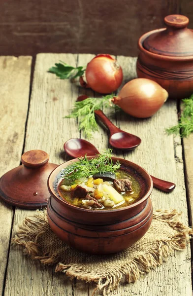 キノコ、牛肉と大麦のスープ — ストック写真