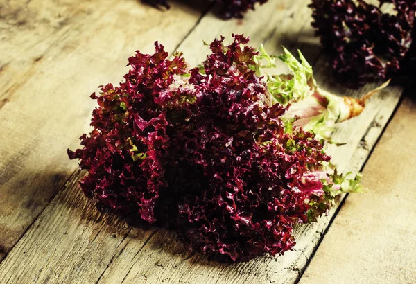 Бордовий салату, vintage дерев'яними тлі — стокове фото