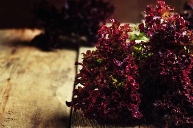 Bordo marul, vintage ahşap arka plan