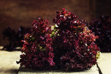 Bordo marul, vintage ahşap arka plan