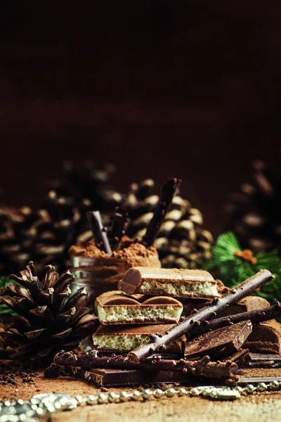 Olika choklad och kakao pulver, trädgrenar och kottar — Stockfoto