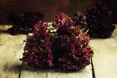 Işın kırmızı Bahçe marul