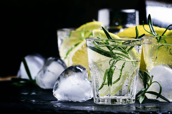 Fizzy lemonade with lemon, rosemary and ice