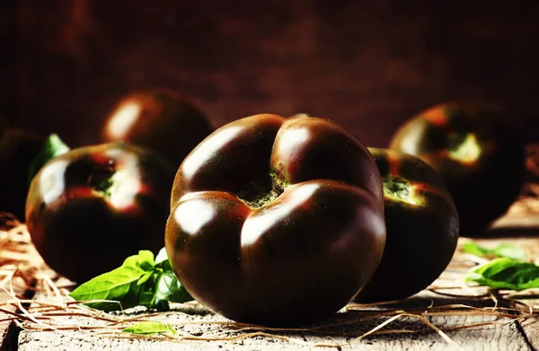 Braune frische Tomaten — Stockfoto