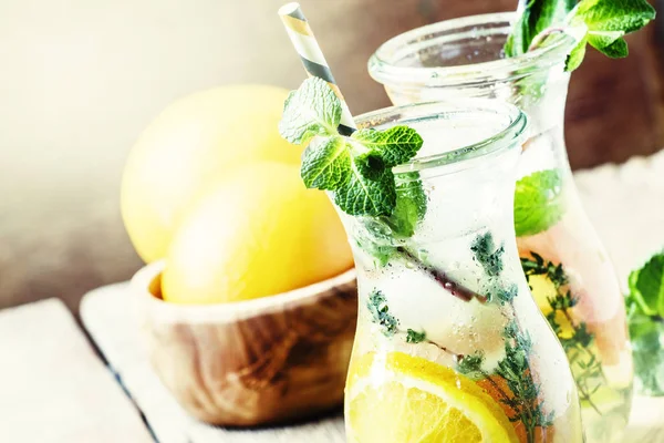 Citrus cocktail med tonic vatten, frukt, mint och is — Stockfoto