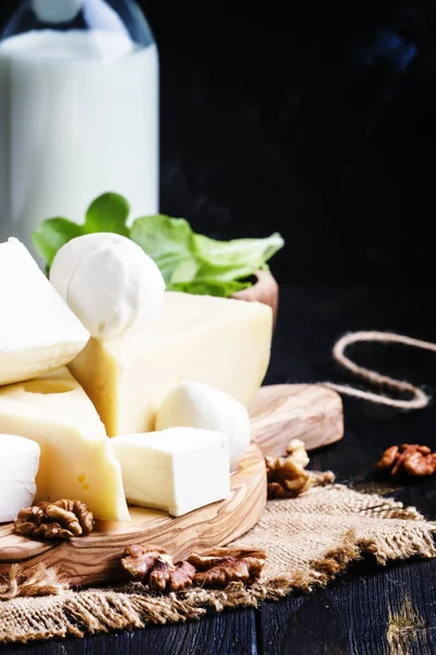 チーズの盛り合わせ、セレクティブ フォーカス — ストック写真