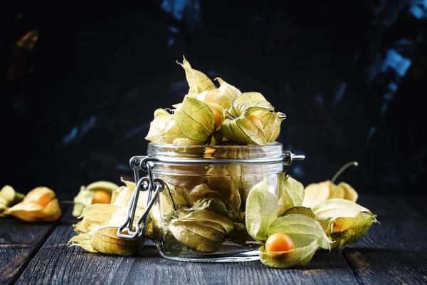 Droge physalis, donkere achtergrond — Stockfoto