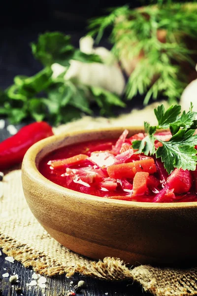 Sopa de Borsch con remolacha — Foto de Stock