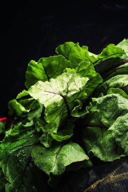 Pancar üstleri, koyu arka plan