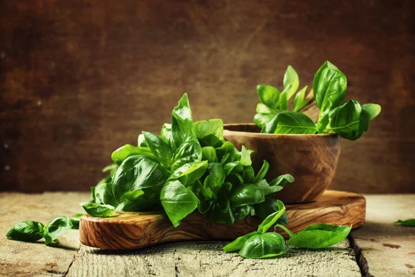 Fresh green basil — Stock Photo, Image