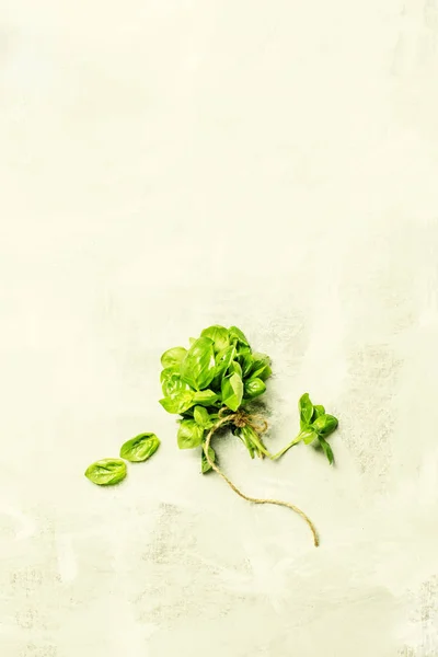 Fond alimentaire avec basilic vert — Photo