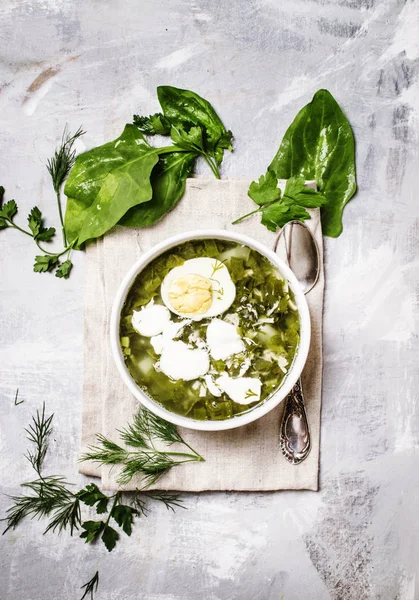 Traditional Russian soup with sorrel, meat and eggs — Stock Photo, Image