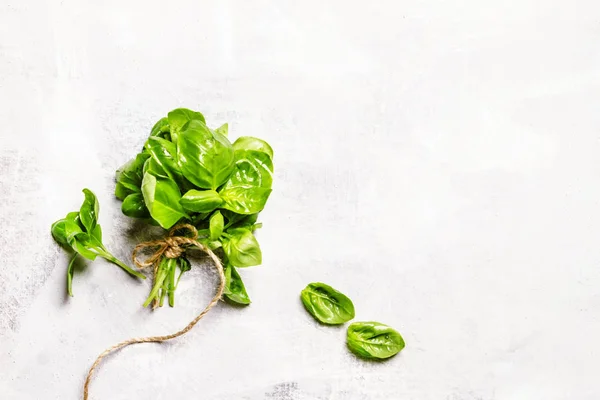 Food background with green basil — Stock Photo, Image