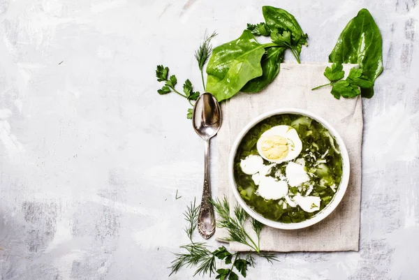 Traditional Russian soup with sorrel, meat and eggs — Stock Image Traditional Russian soup with sorrel, meat and eggs Stock Photo