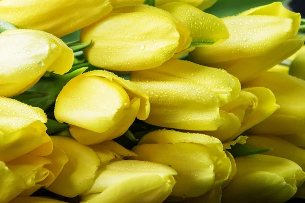 Ramo grande de tulipanes amarillos —  Fotos de Stock